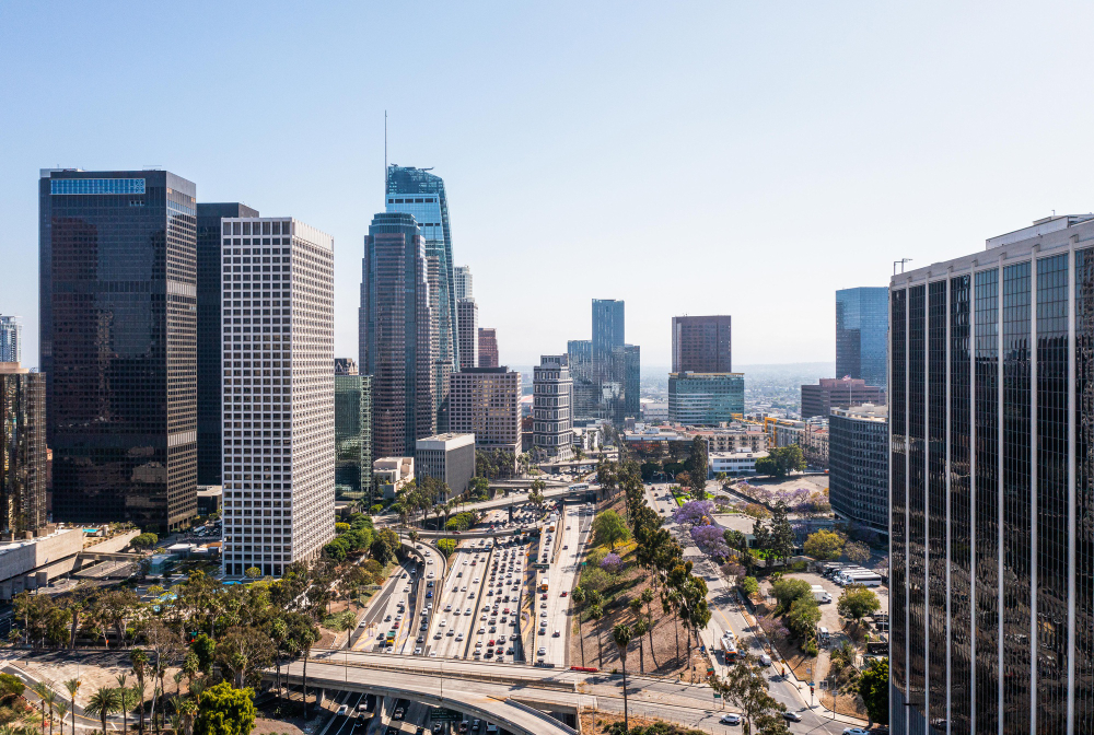 Dallas CIO Information Technology Leaders